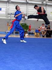 Xia Quan Tai Chi Kung Fu Nederland Rotterdam Xia Qaun Hung Quan fighting form